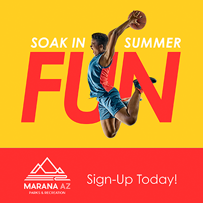 Parks and Recreation Campaign